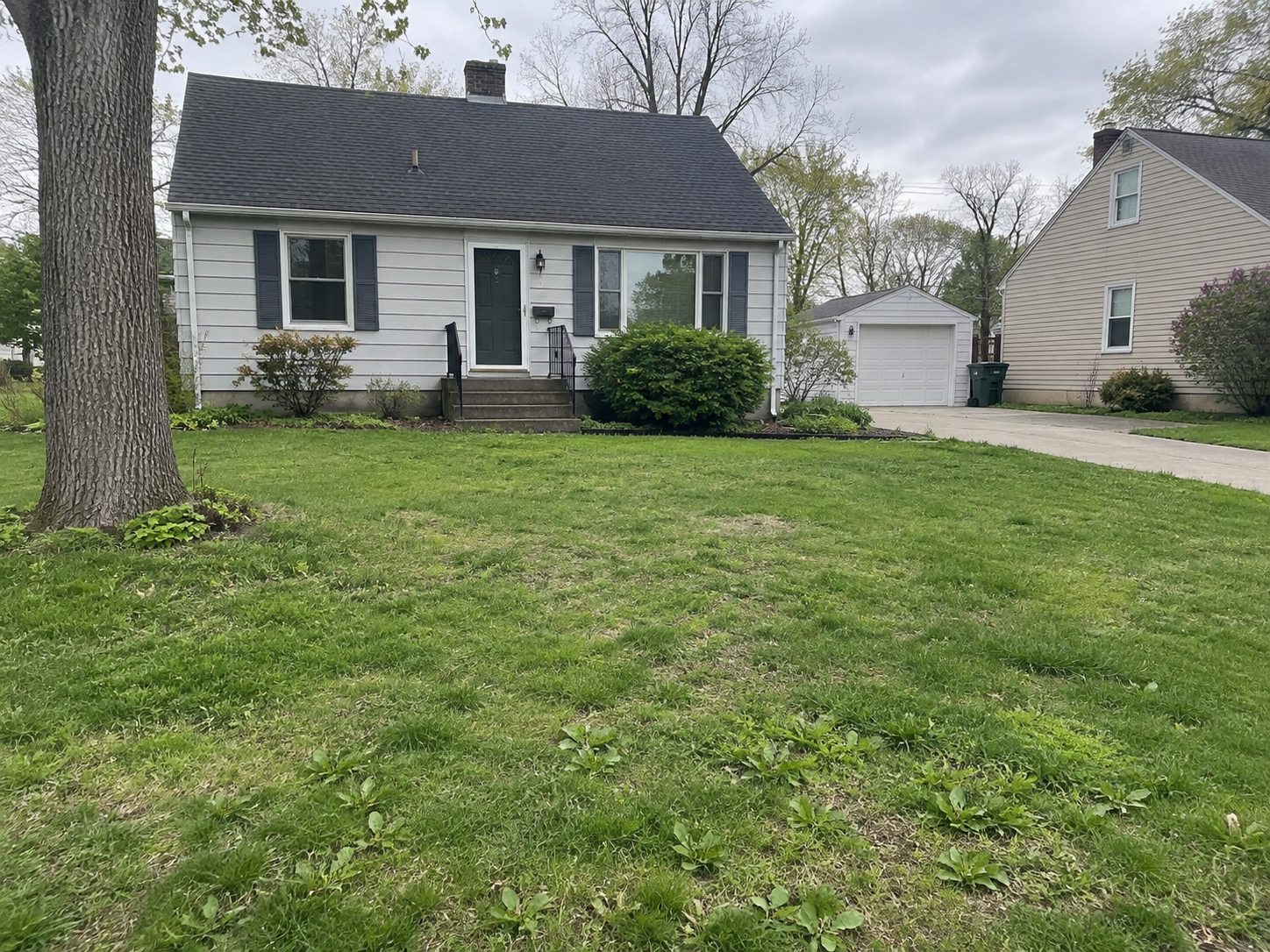 A typical suburban lawn after mowing